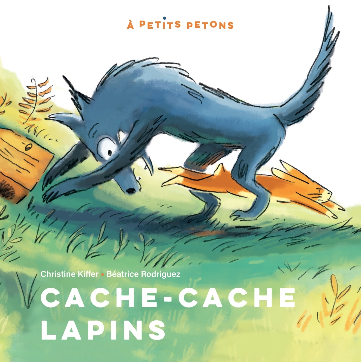 Cache Cache Lapins - Poche - Christine Kiffer, Céline Murcier - DIDIER JEUNESSE