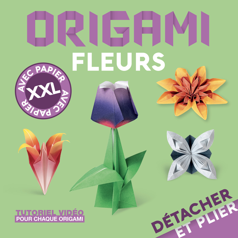 Origami fleurs - Francesco Decio - NUINUI