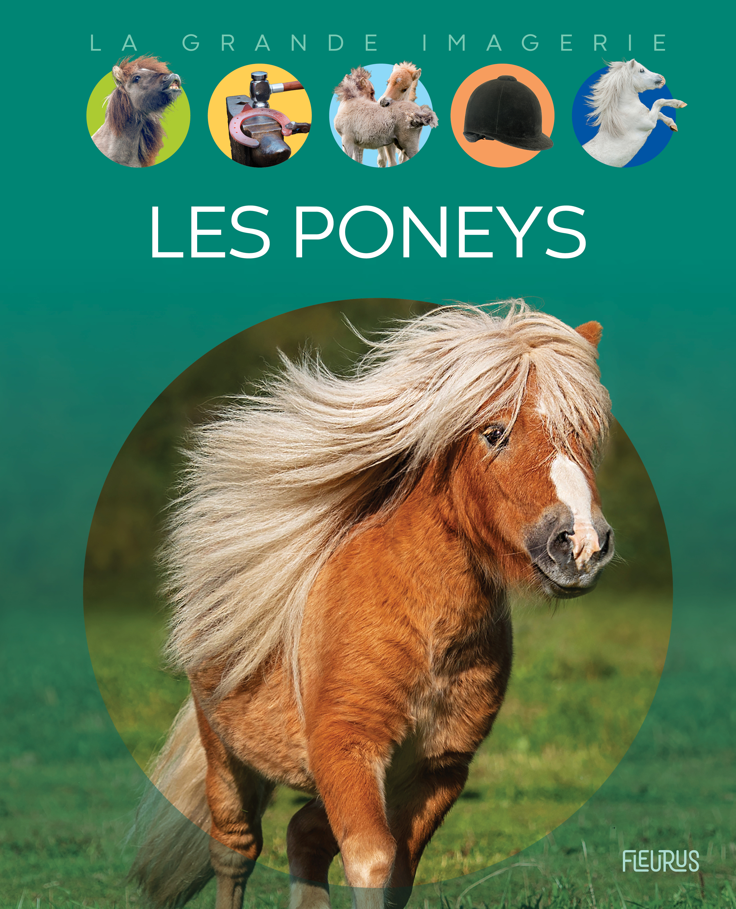 Les poneys - Cathy Franco - FLEURUS