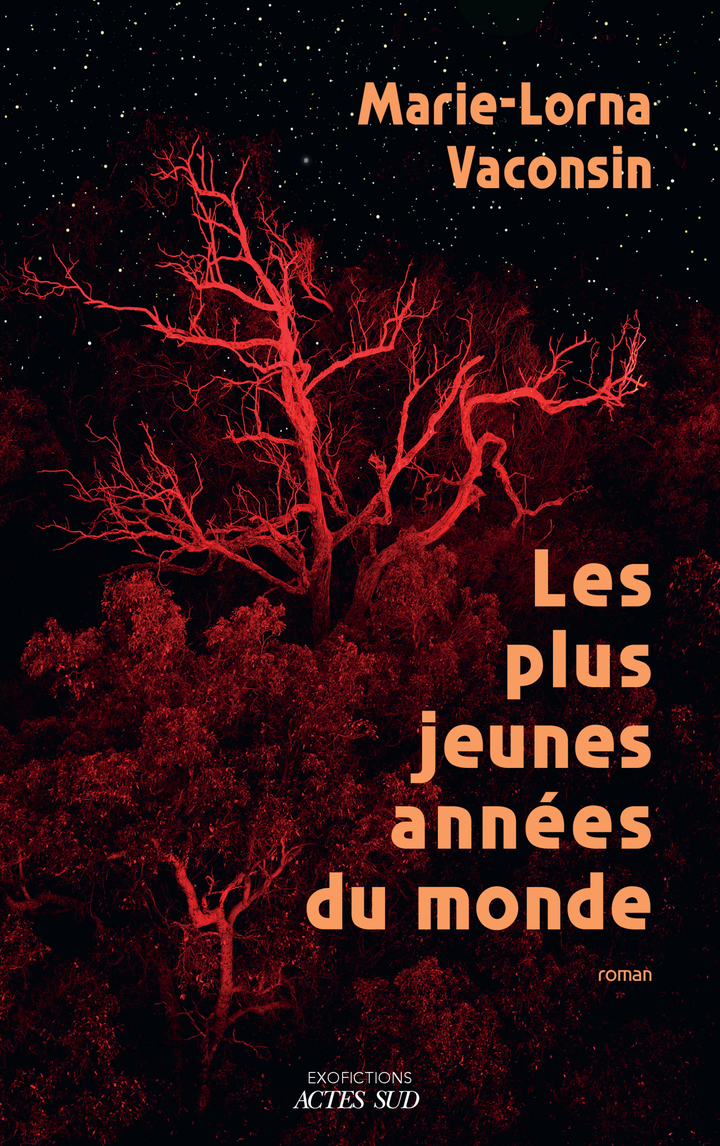 Les Plus Jeunes Années du monde - Marie-Lorna Vaconsin - ACTES SUD