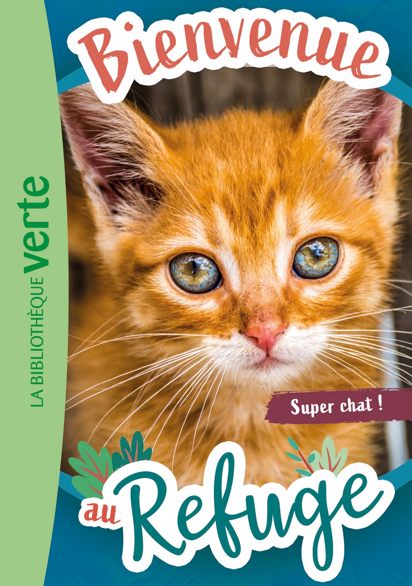 Bienvenue au refuge, Tome 15 - Super chat ! - Hachette Livre, Pascal Ruter - HACHETTE JEUN.