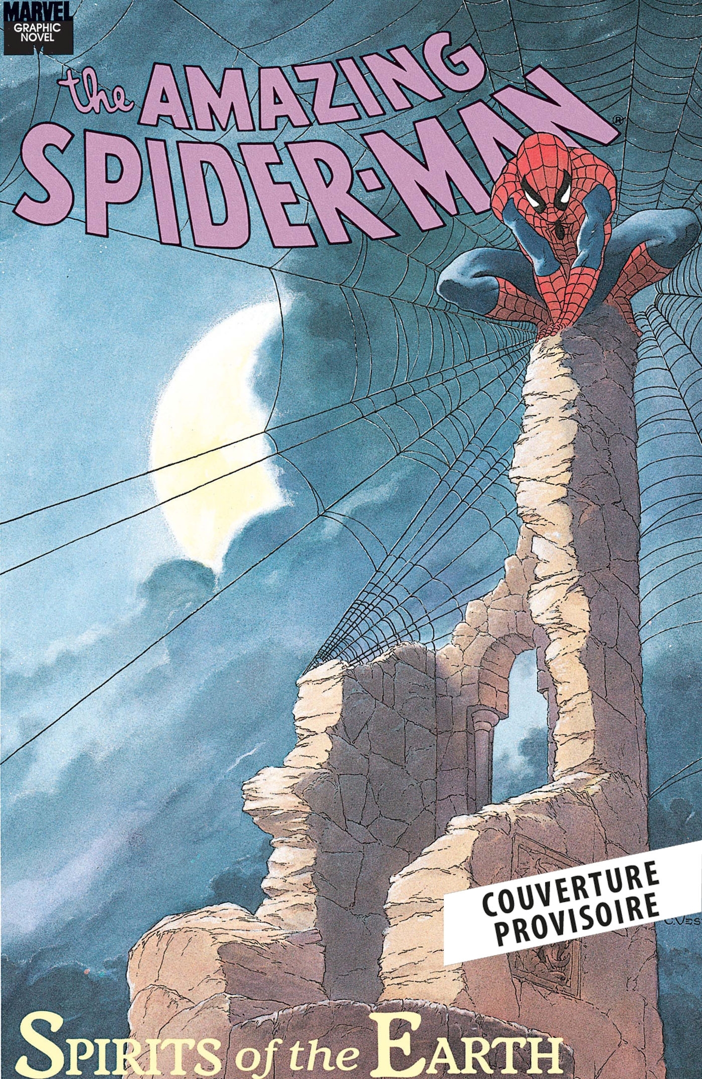Spider-Man Graphic Novels - Gerry Conway, Charles Vess, Stan Lee - PANINI