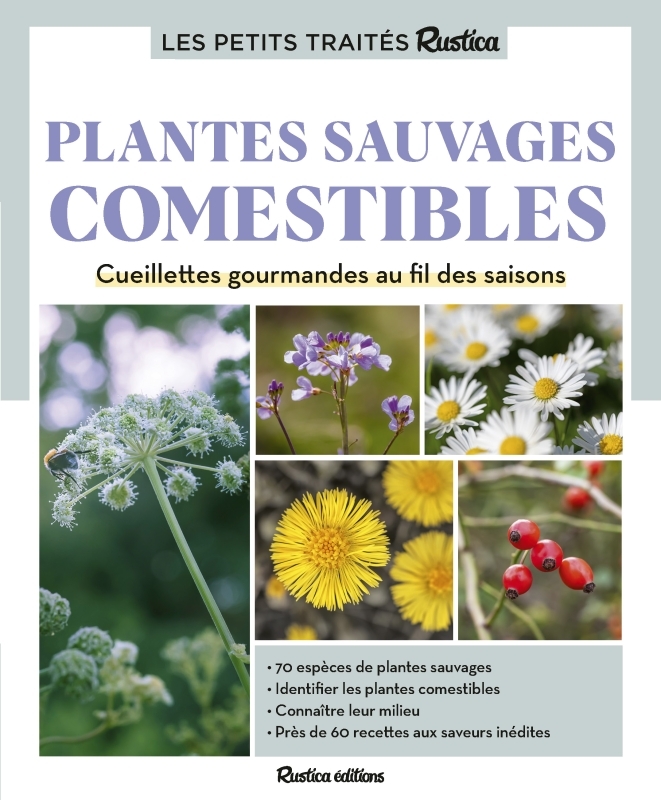 Le petit traité Rustica des plantes sauvages comestibles - Caroline Calendula, Christophe Monplaisir, Laurent Stubbe - RUSTICA