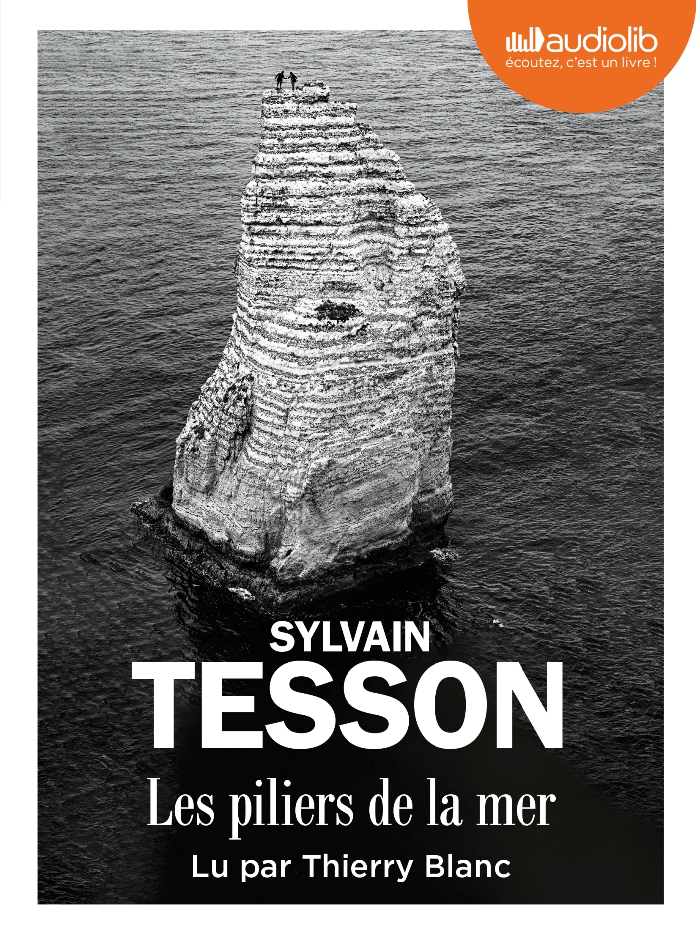 Les Piliers de la mer - Sylvain Tesson, ERICK ALEXANDERSON ROSAS, Thierry Blanc - AUDIOLIB