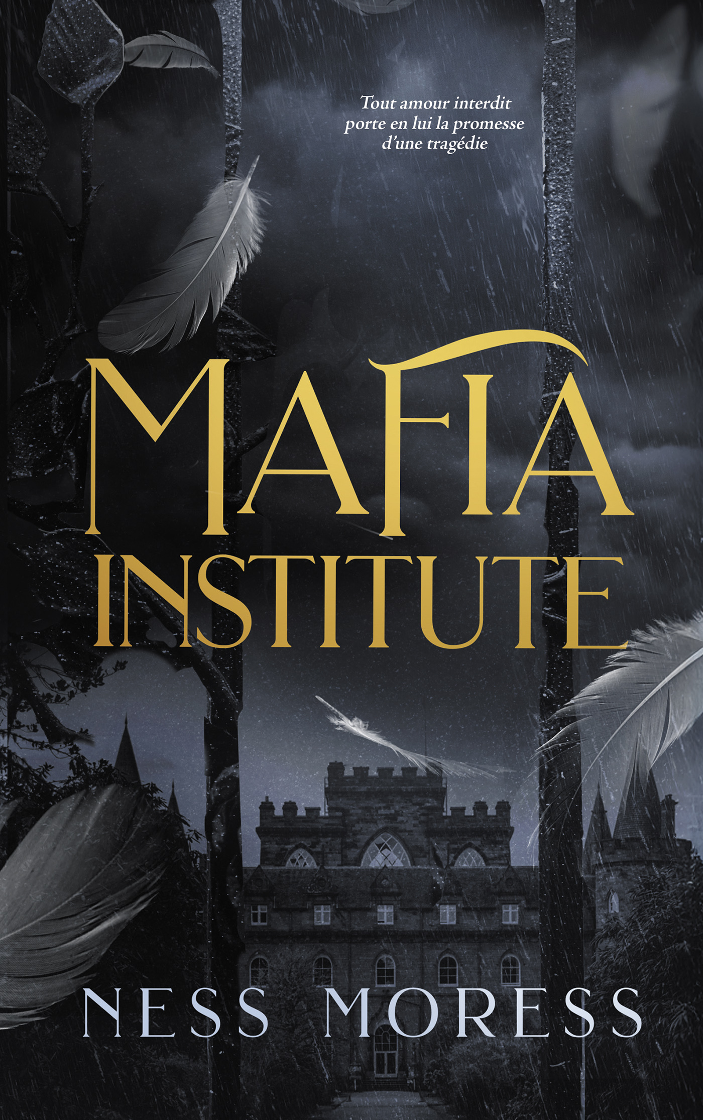 Mafia Institute -  Ness Moress - HACHETTE HLAB