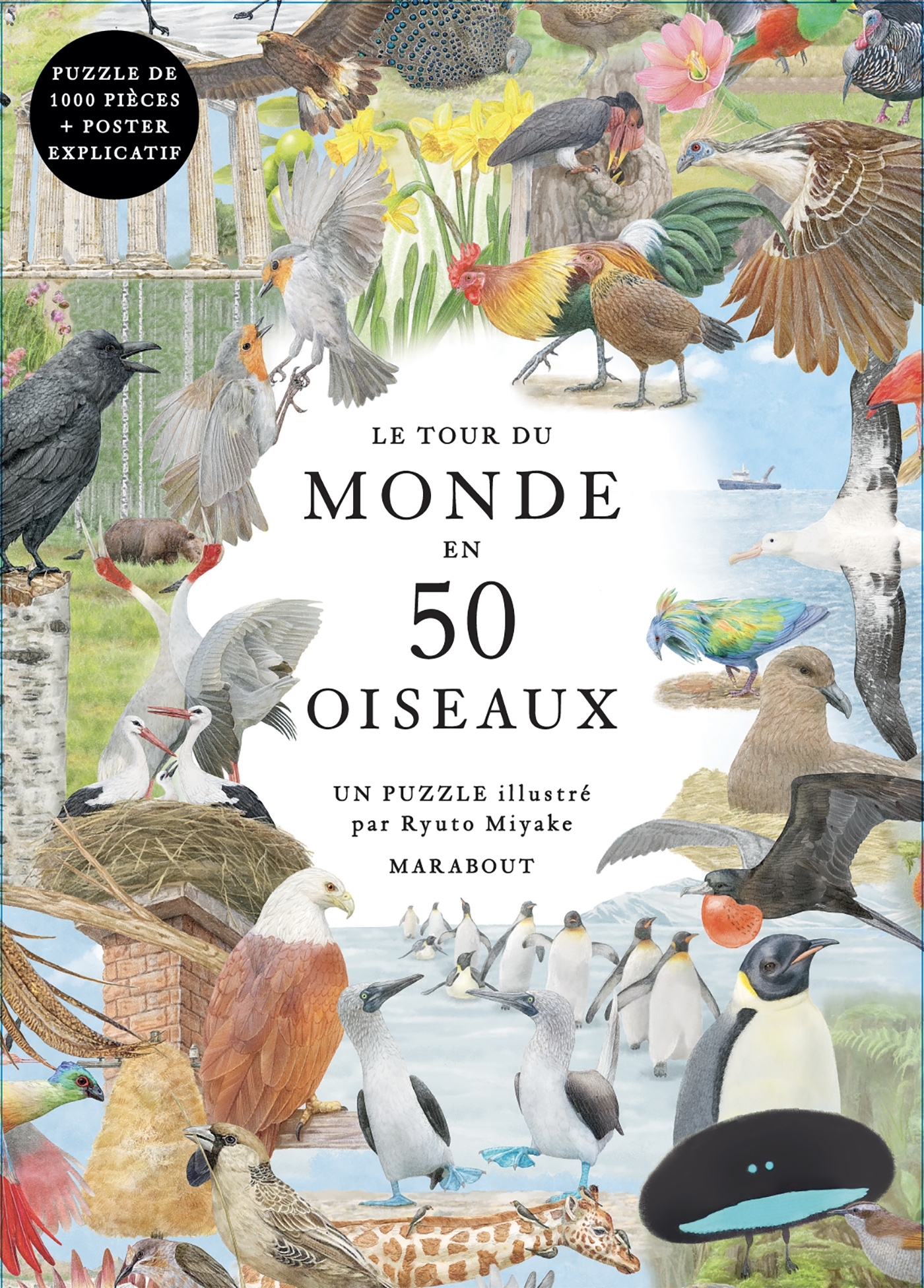 Puzzle Le tour du monde en 50 oiseaux - ERICK ALEXANDERSON ROSAS - MARABOUT