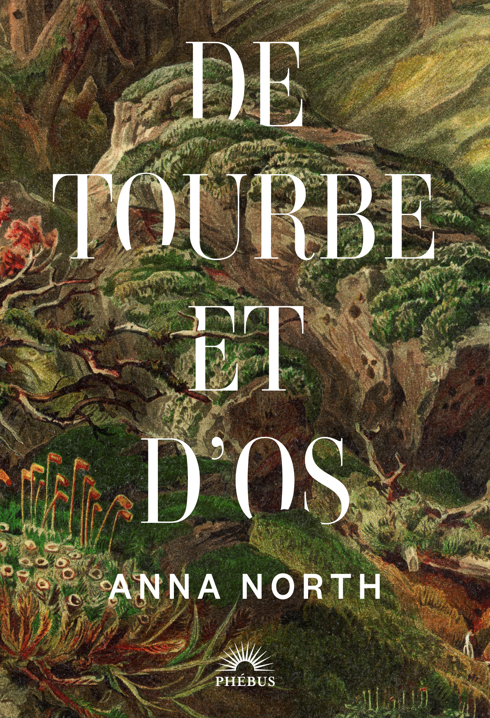 De tourbe et d'os -  North anna - PHEBUS