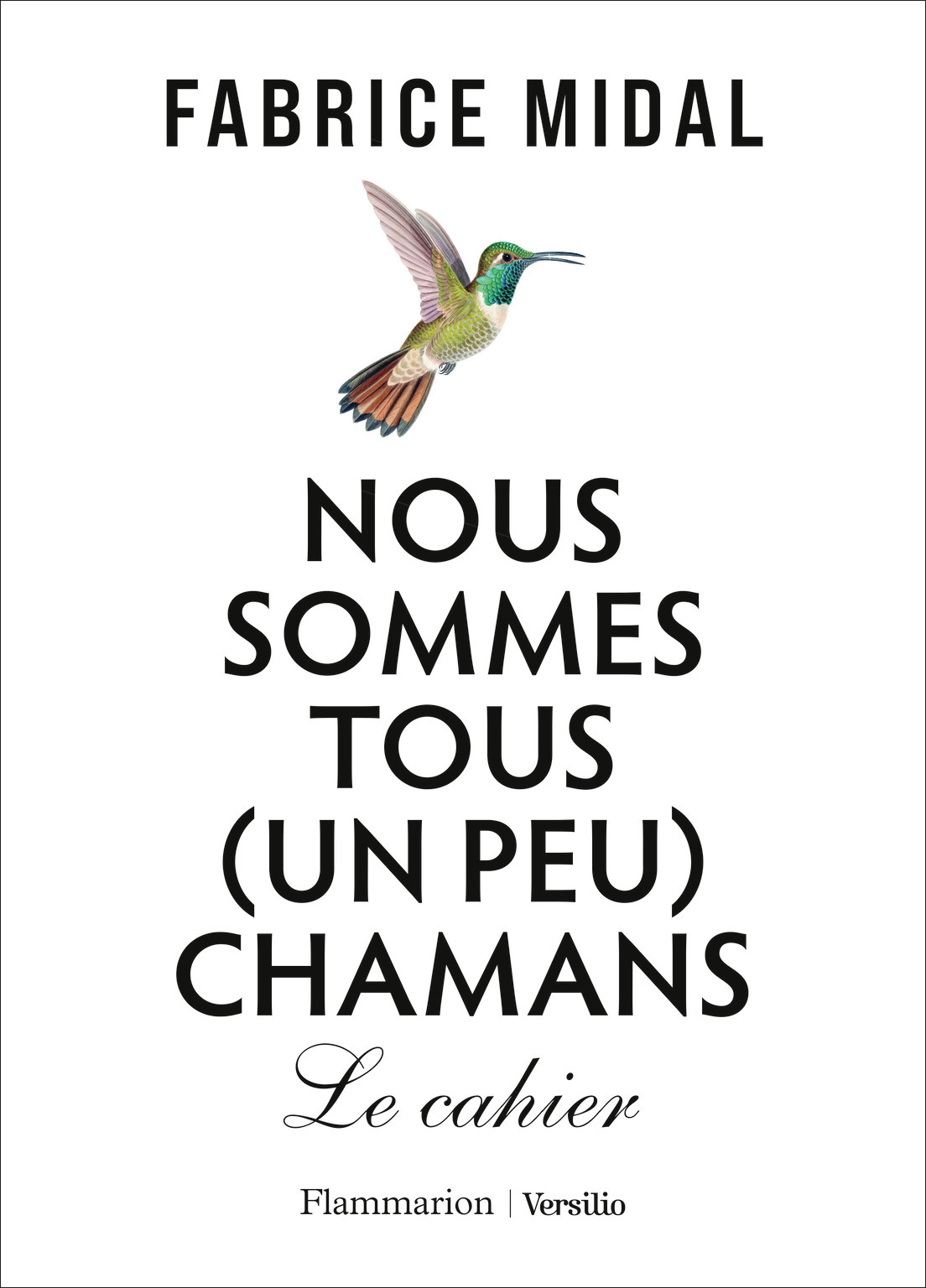 Nous sommes tous (un peu) chamans - Fabrice Midal - FLAMMARION