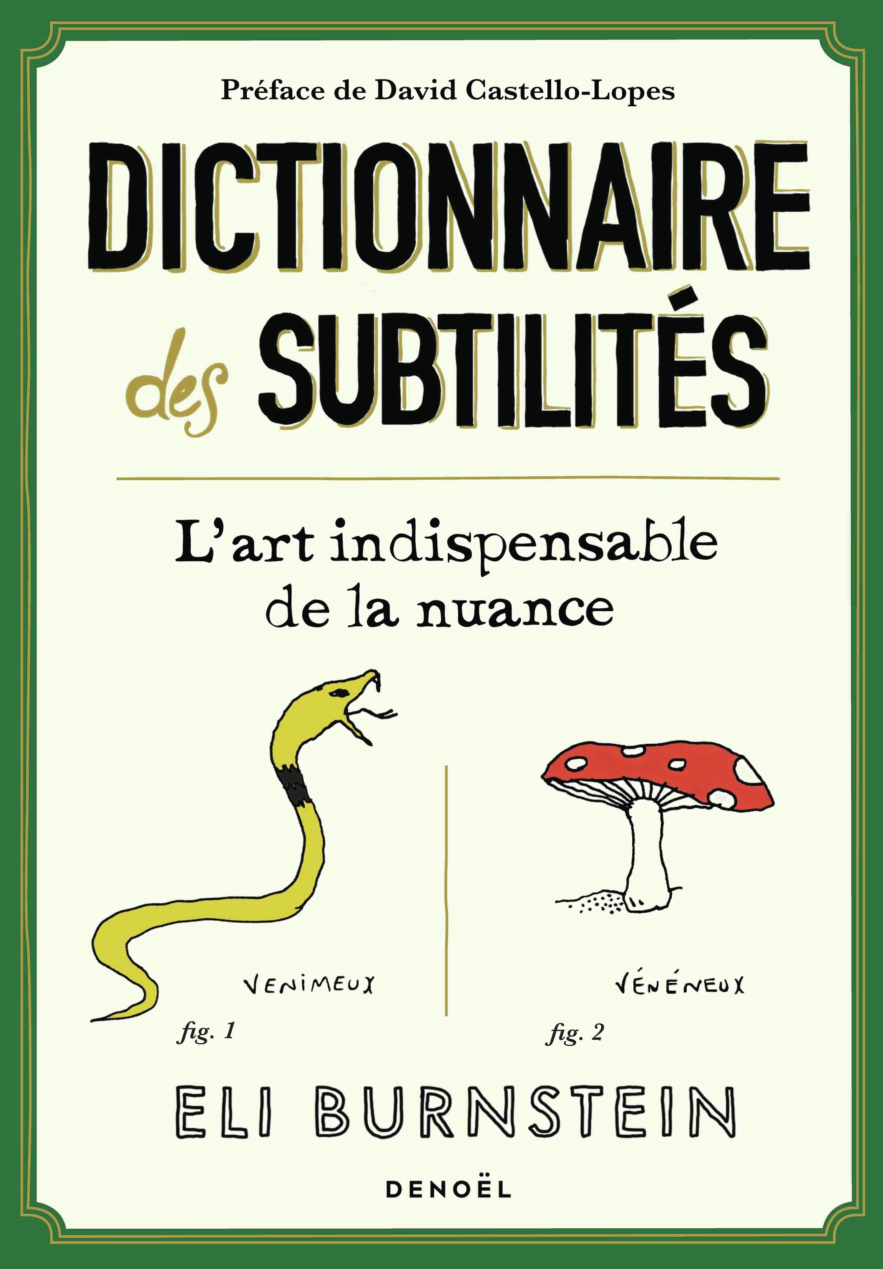 Dictionnaire des subtilités - Eli Burnstein, Eli Burstein, David Castello-Lopes - DENOEL