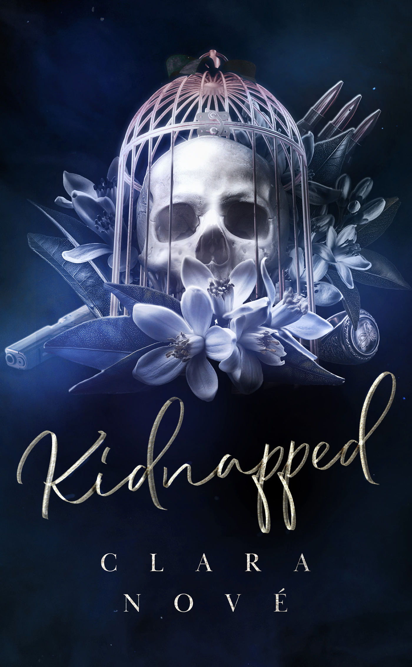 Kidnapped - Clara Nové - HACHETTE HLAB