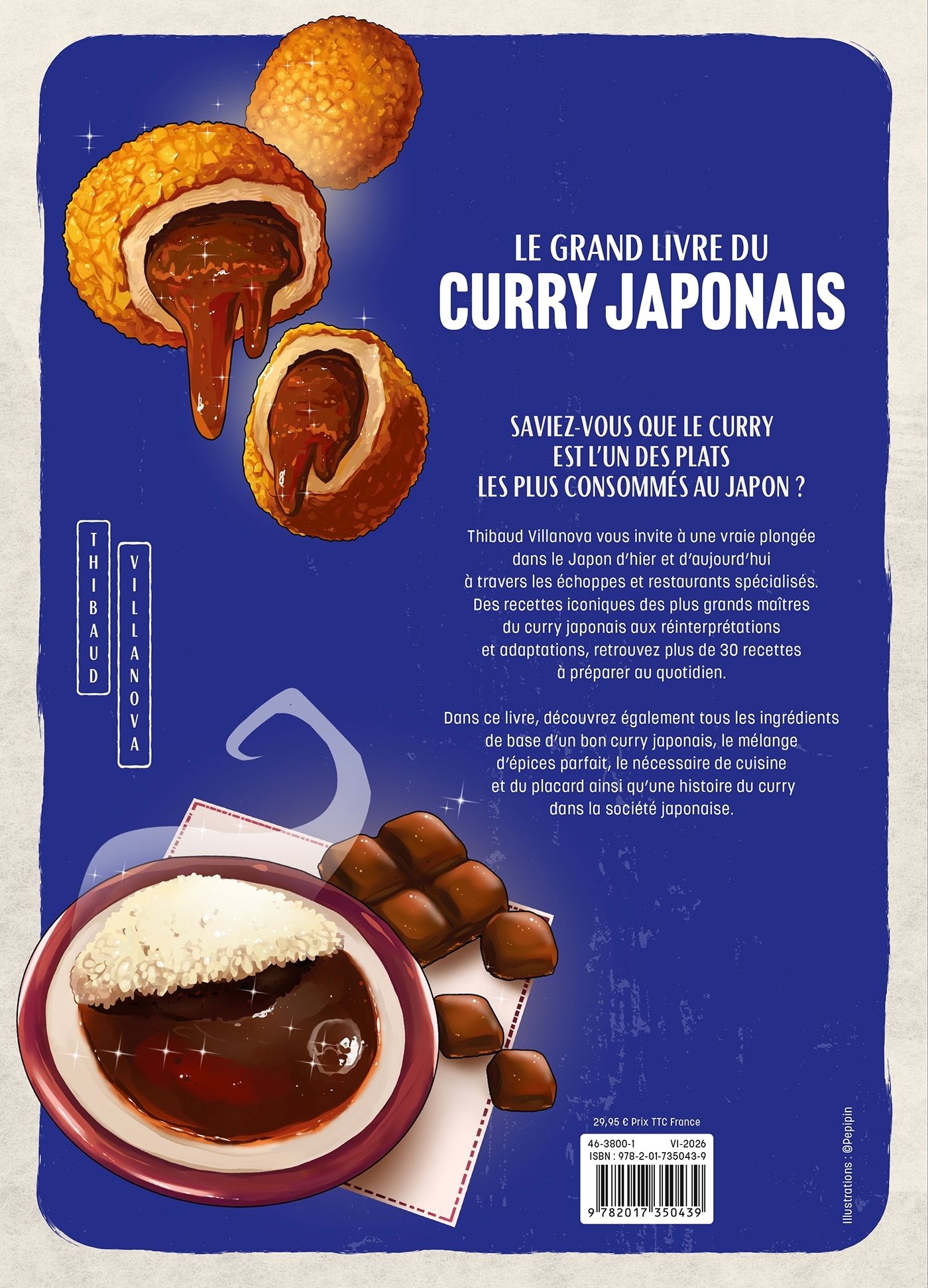 Le grand livre du curry japonais - Thibaud Villanova, Nicolas Lobbestaël - HACHETTE PRAT