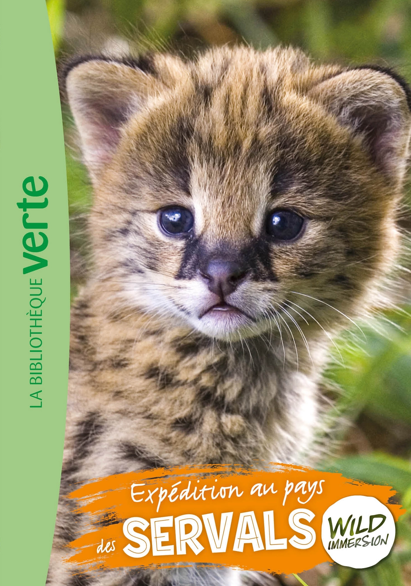 Wild Immersion, Tome 25 - Expédition au pays des servals - Hachette Livre,  , Pascal Ruter - HACHETTE JEUN.