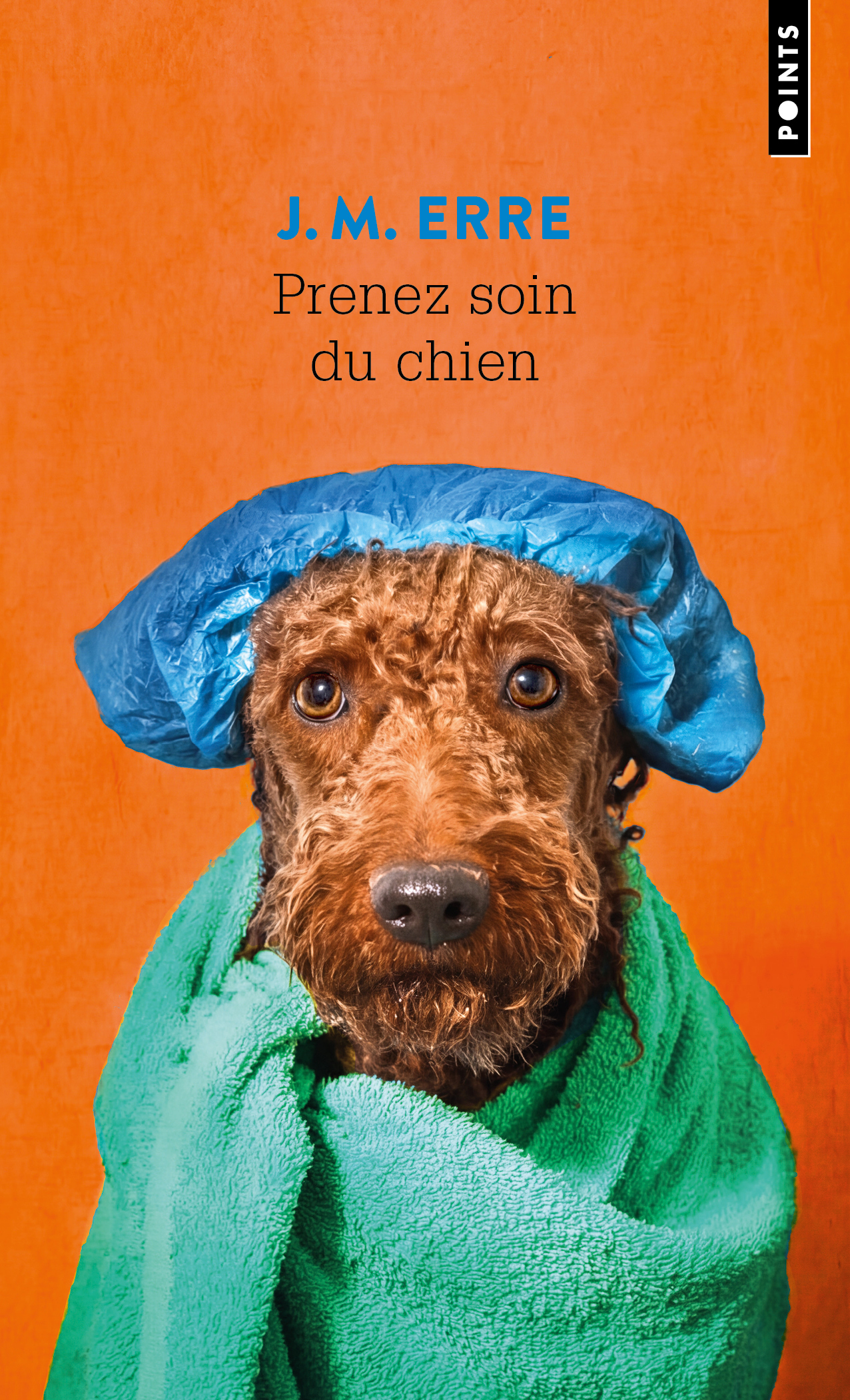Prenez soin du chien - J.M. Erre - POINTS
