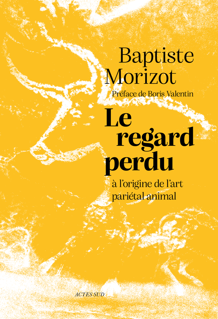 Le regard perdu - Baptiste Morizot, Boris Valentin - ACTES SUD