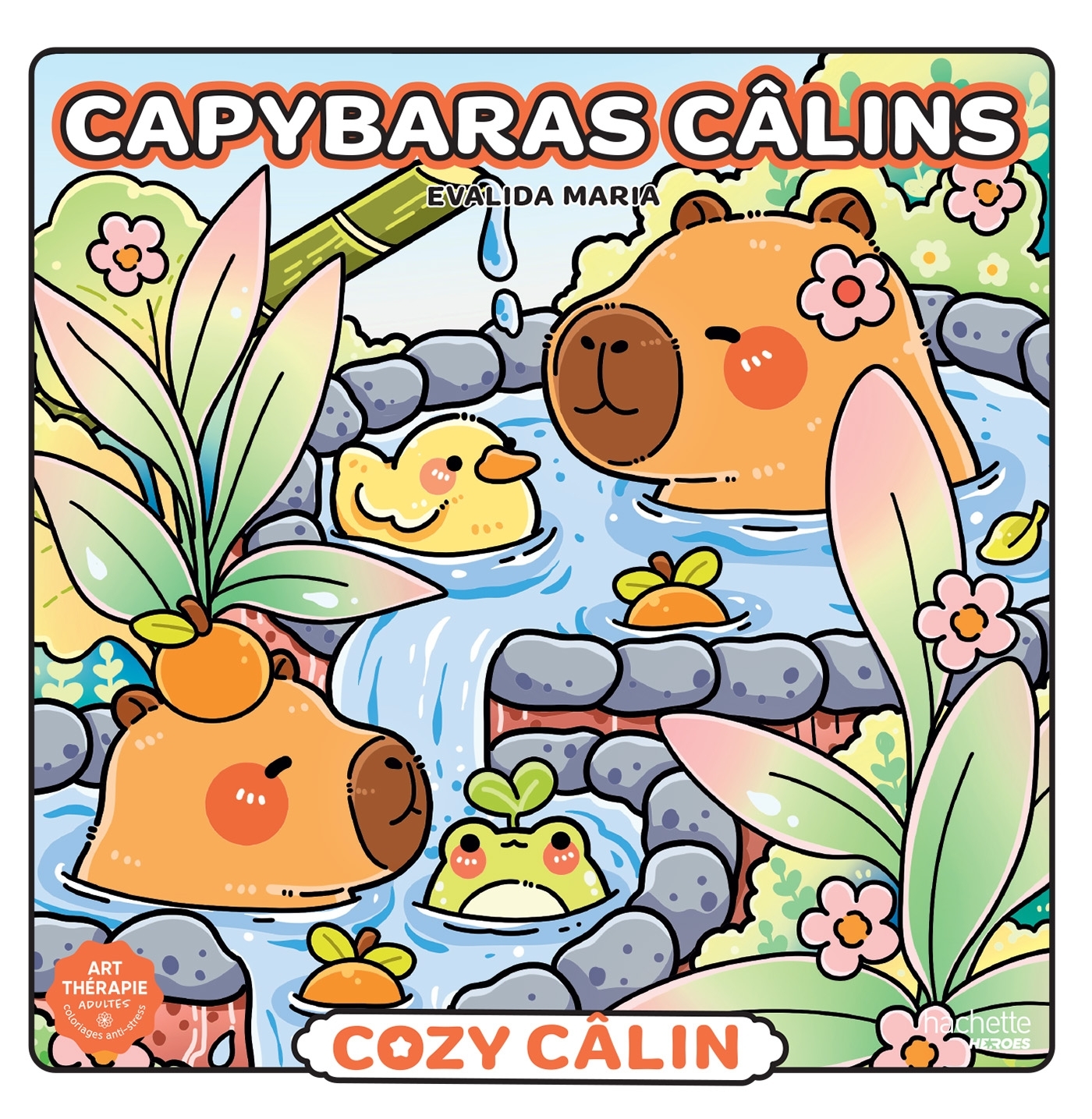 Coffret cozy + peluche Capybara - MARIA EVALIDA - HACHETTE HEROES