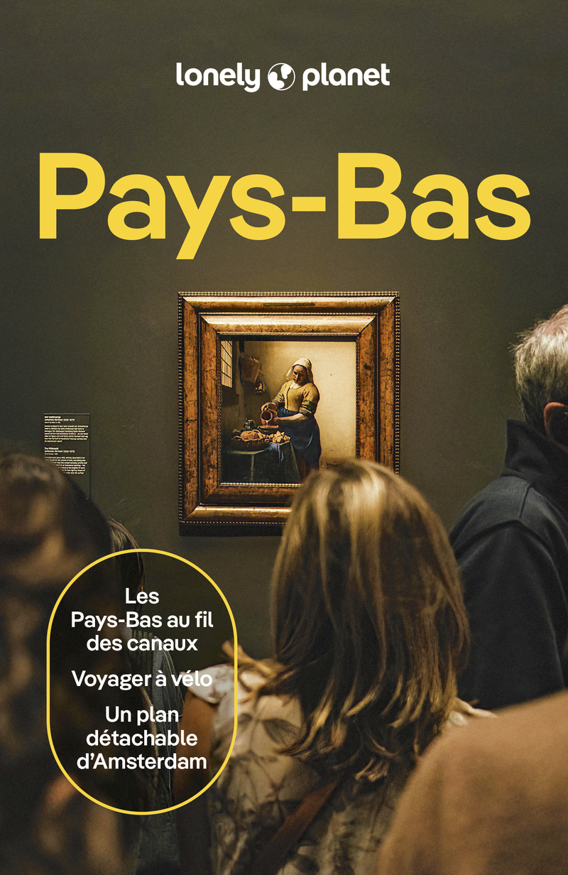 Pays-Bas 6ed -  Lonely Planet - LONELY PLANET