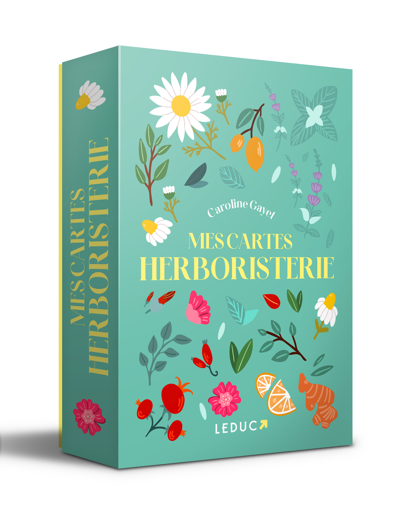 Mes cartes herboristerie - Caroline Gayet - LEDUC