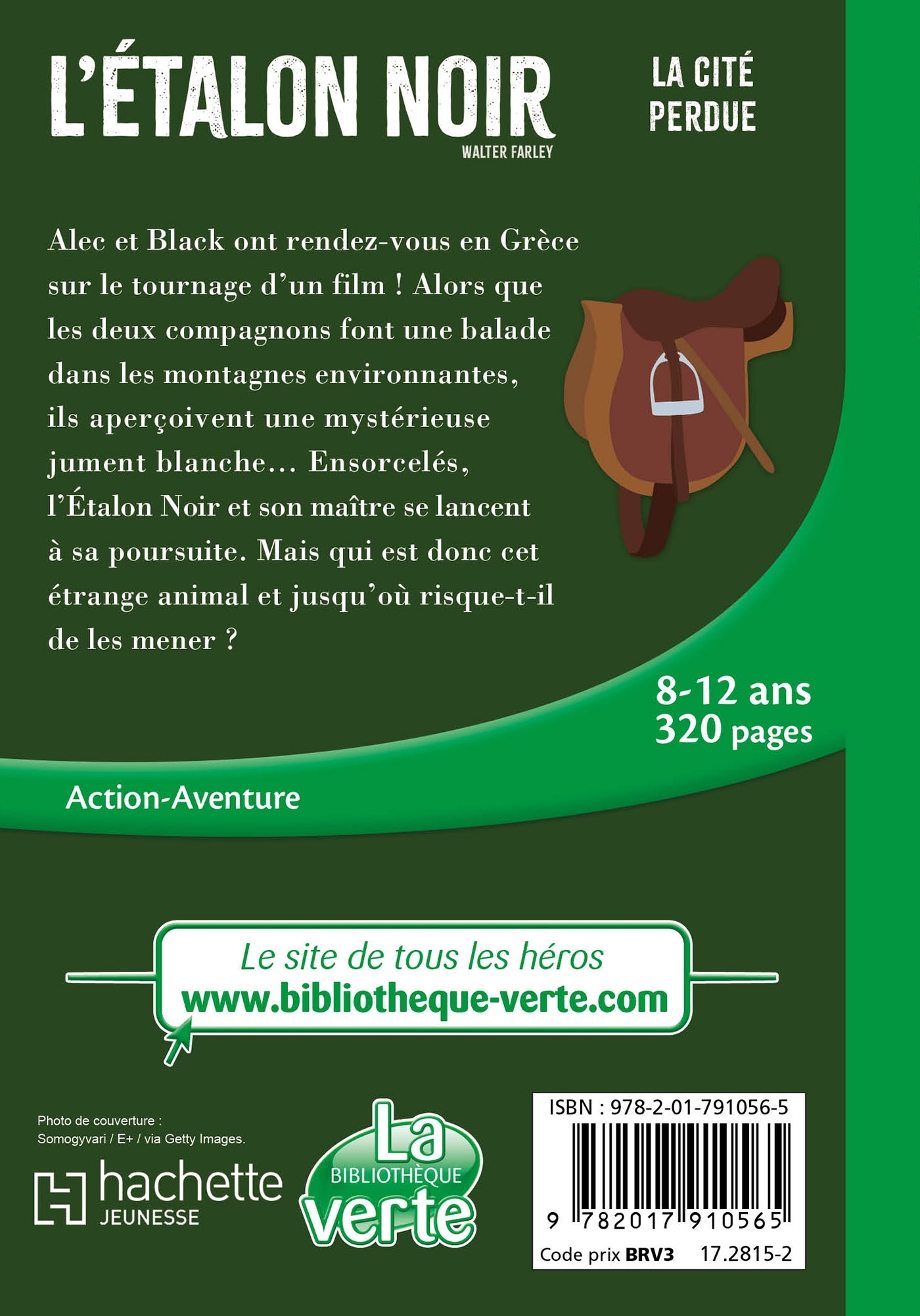 L'Etalon noir (nouvelle édition),  Tome 20 -  La cité perdue - Steven Farley - HACHETTE JEUN.
