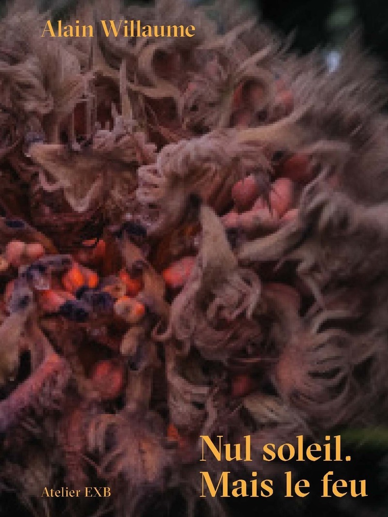 Nul soleil. Mais le feu - Alain Willaume - ATELIER EXB