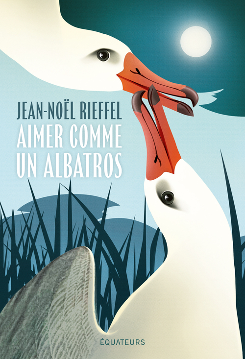 Aimer comme un albatros - Jean-Noël Rieffel - DES EQUATEURS