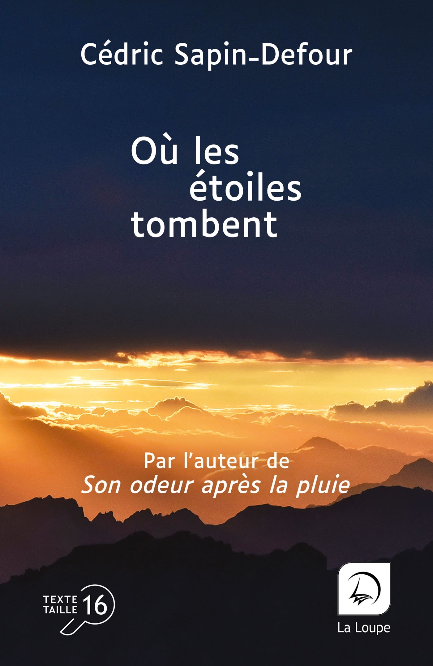 Où les étoiles tombent - Cédric Sapin-Defour - DE LA LOUPE