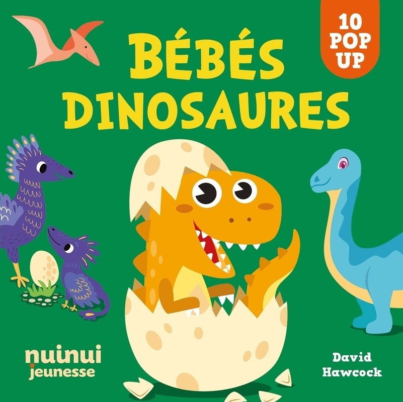 Saisissants pop-up - Bébés dinosaures NE - David Hawcock - NUINUI JEUNESSE