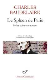 Le spleen de paris - petits poemes en prose