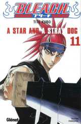 Bleach tome 11 : a star and a stray dog