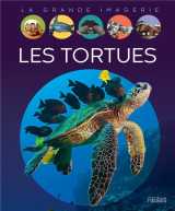Les tortues
