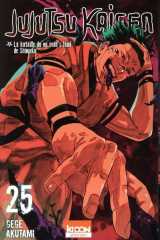 Jujutsu kaisen t25