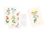 Set de 10 cartes postales fleurs