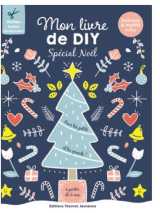 Mon livre de diy spécial noel 