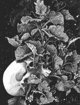 La tête de mort venue de suède