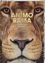Animo rama incroyable savane