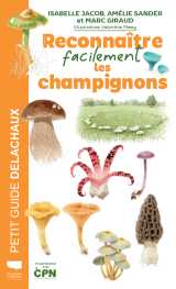 Reconnaître facilement les champignons