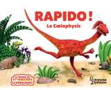 Rapido le coelophysis