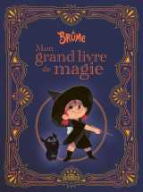 Brume - mon grand livre de magie