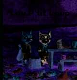 Lou p'tit loup protège sa forêt