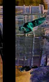 Le triomphe de l'amour