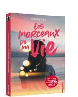 Les morceaux de ma vie