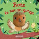 Rose bébé rouge-gorge