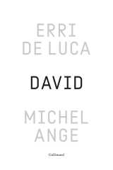 David, michel-ange