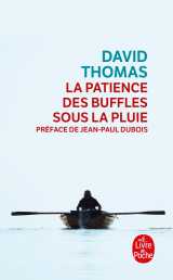 La patience des buffles sous la pluie