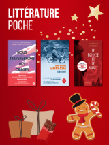 Coffret noel - litterature poche